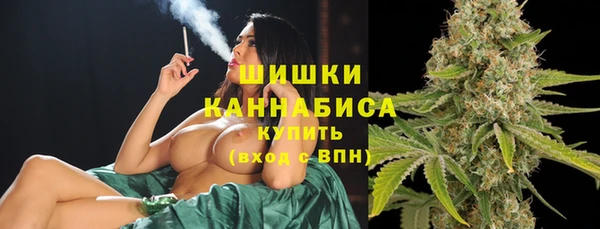 первитин Покачи